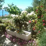 Mira-1 By Interhome * Makarska